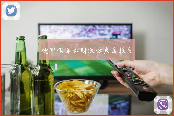 德甲俱乐部财政健康度报告