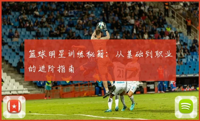 篮球明星训练秘籍:从基础到职业的进阶指南