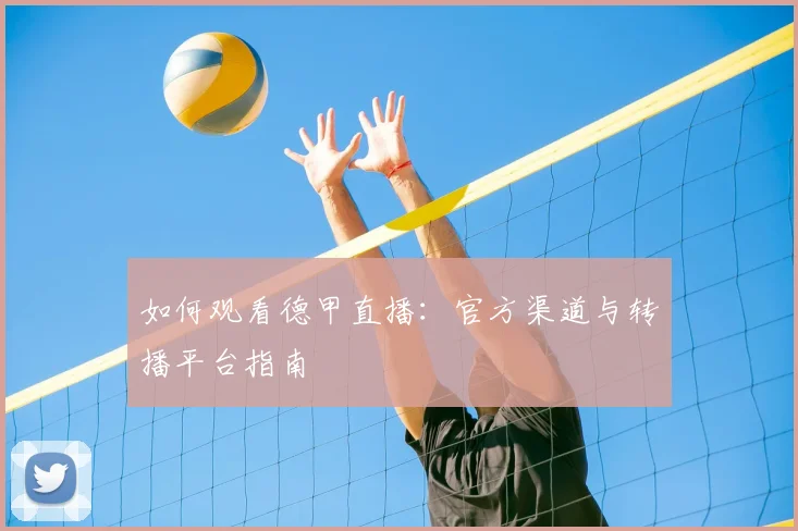 篮球明星训练秘籍:提升球技的10个专业技巧