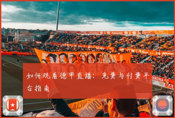 篮球明星训练秘籍:打造专业级身体素质