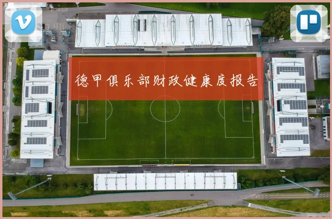 德甲俱乐部财政健康度报告